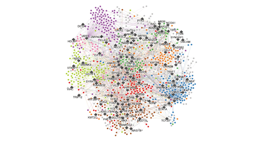 Autism-linked variants rewire protein networks