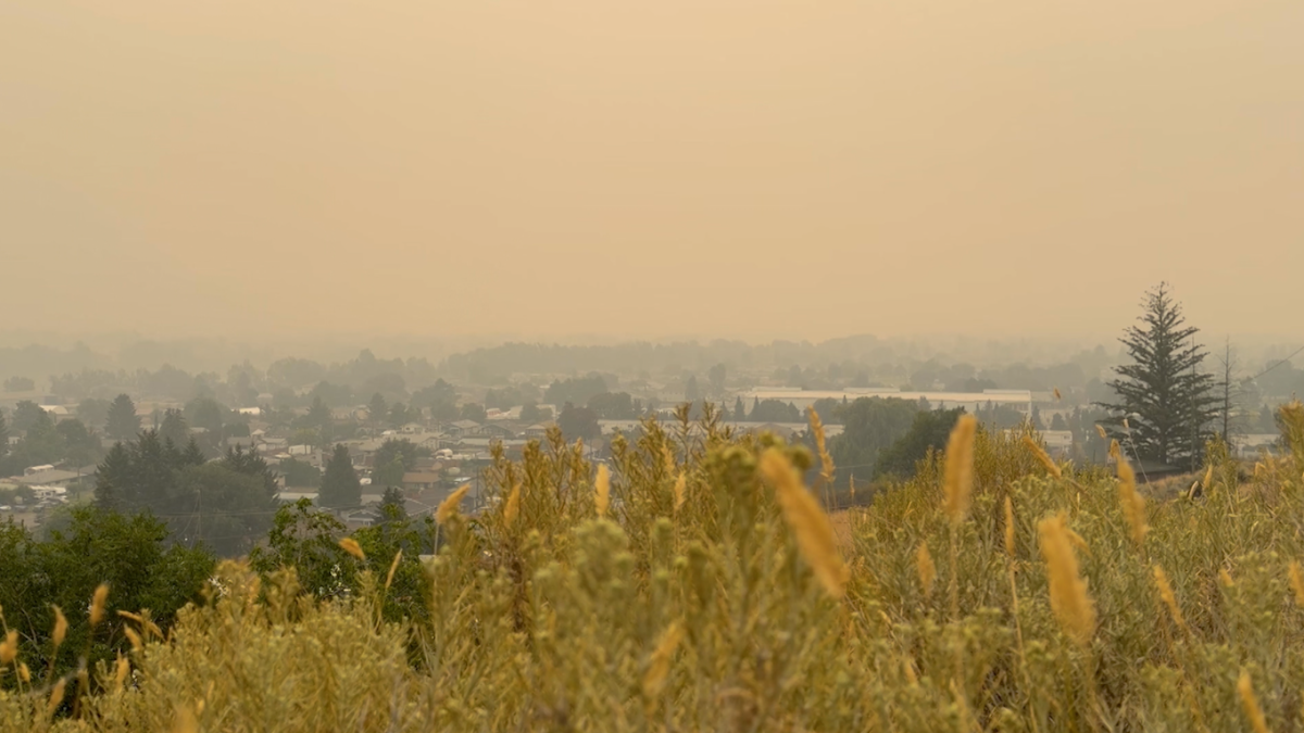 ‘That will impact people’s mental health’: Interior Health explains how Kamloops’ wildfire smoke is linked to physical, mental risks