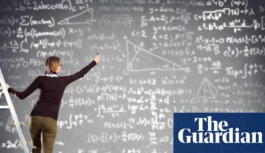 Surprising AI breakthroughs raise soul-searching questions for mathematicians | Mathematics