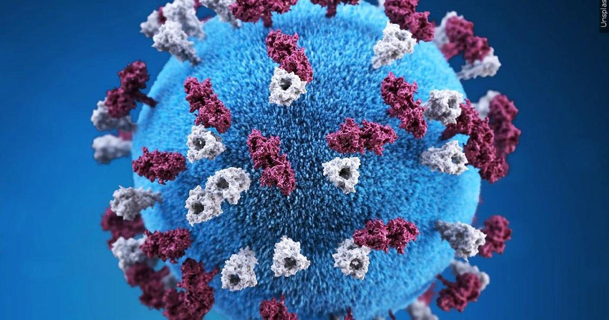 Wisconsin DHS confirms 2 new measles cases in Iowa and Lafayette counties | Health