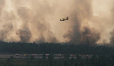 France, Spain Eye Wildfire Reprieve As Other Blazes Start Up In Europe