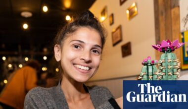 ‘It’s therapy by stealth’: the adult fans helping Lego build its billions in sales | Lego