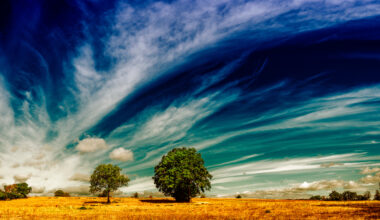 Strong El Niño expected to intensify