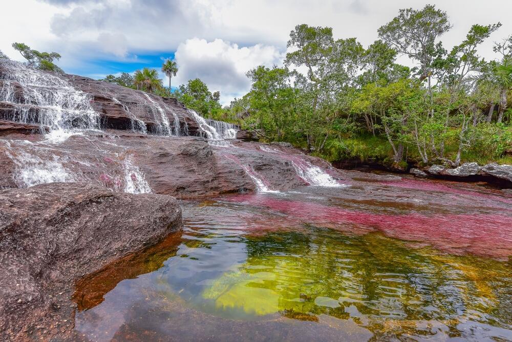 נהר קאניו קריסטלס (Caño Cristales), המכונה "נהר שבעת הצבעים" או "הנהר היפה בעולם", בפארק הלאומי סיירה דה לה מקרנה, קולומביה