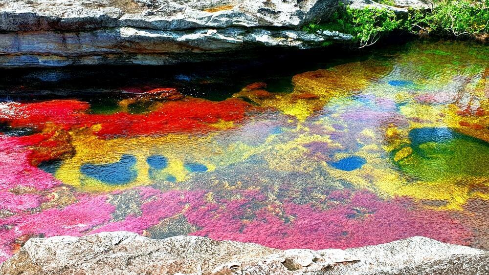 נהר קאניו קריסטלס (Caño Cristales), הנהר הרב-צבעוני הייחודי בפארק הלאומי סיירה דה לה מקרנה, קולומביה