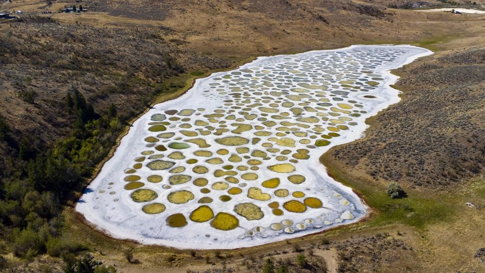 אגם ספוטד (Spotted Lake) ליד אוסויוס, קולומביה הבריטית, קנדה – מהאגמים הייחודיים בעולם