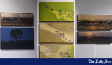 ‘The Quiet Within’: Exhibition blurs the line between photography and painting