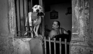 Most photographers visiting Cuba's capital focus on the Chevys and cigars. David Saxe took a very different approach: going after the blur, the shadows and the things nobody poses for