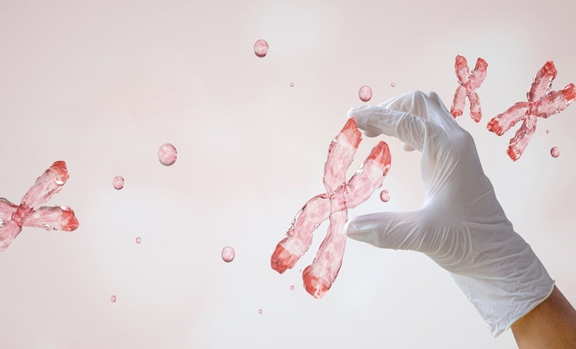 Leukocyte Telomere Length and PDAC