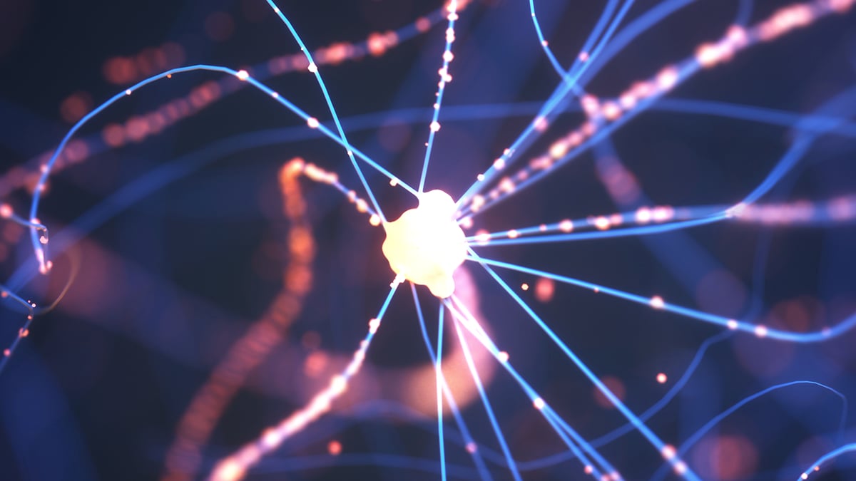 Experimental Alzheimer's Treatment Restores Two Hours of Sleep When Tested in Mice : ScienceAlert