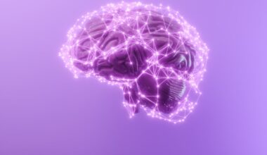 Cracks in ceatine’s clinical backing: Detail needed on brain support and bioavailability