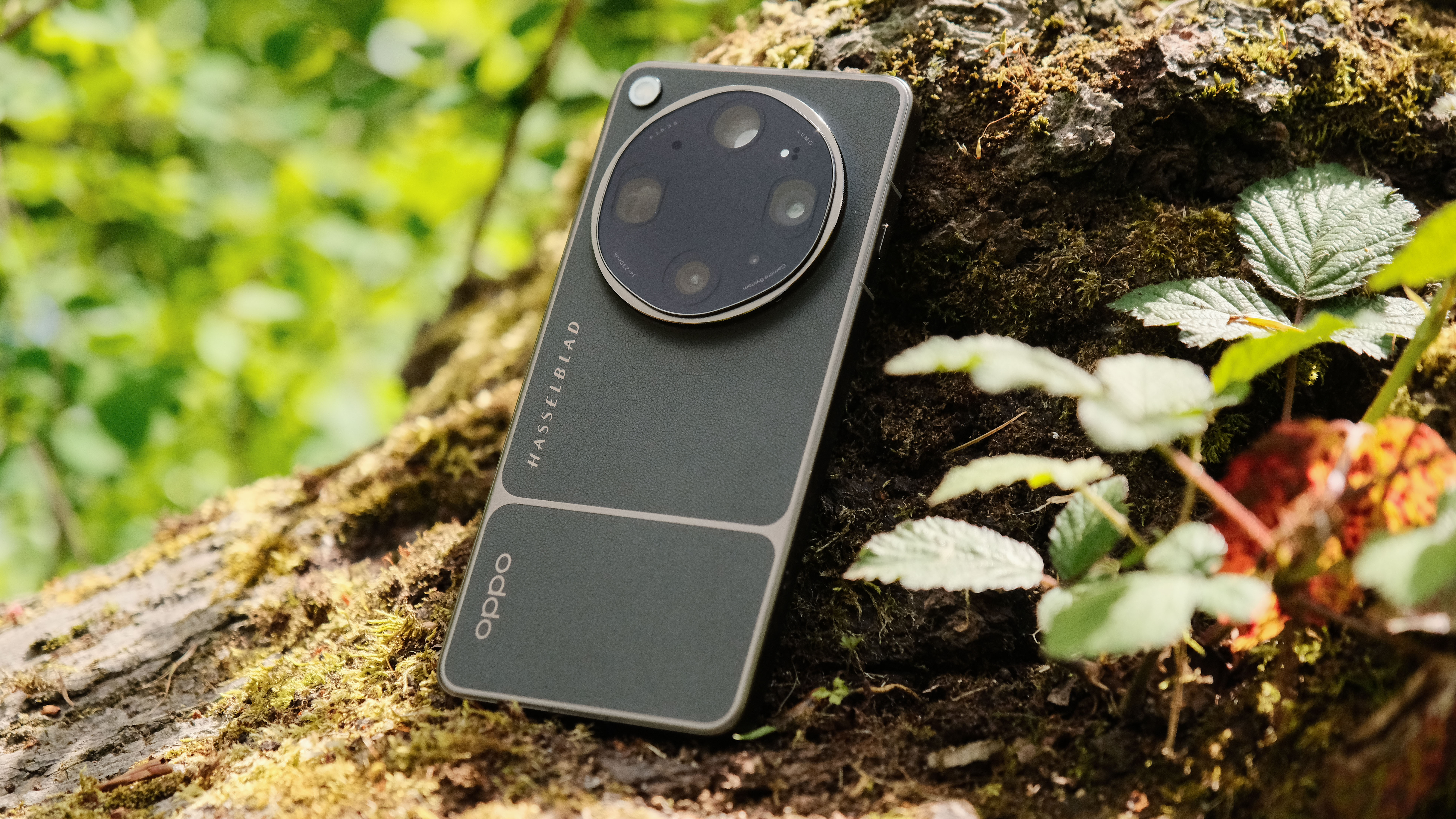 Oppo Find X9 Ultra propped on tree bark with leafy woodland background
