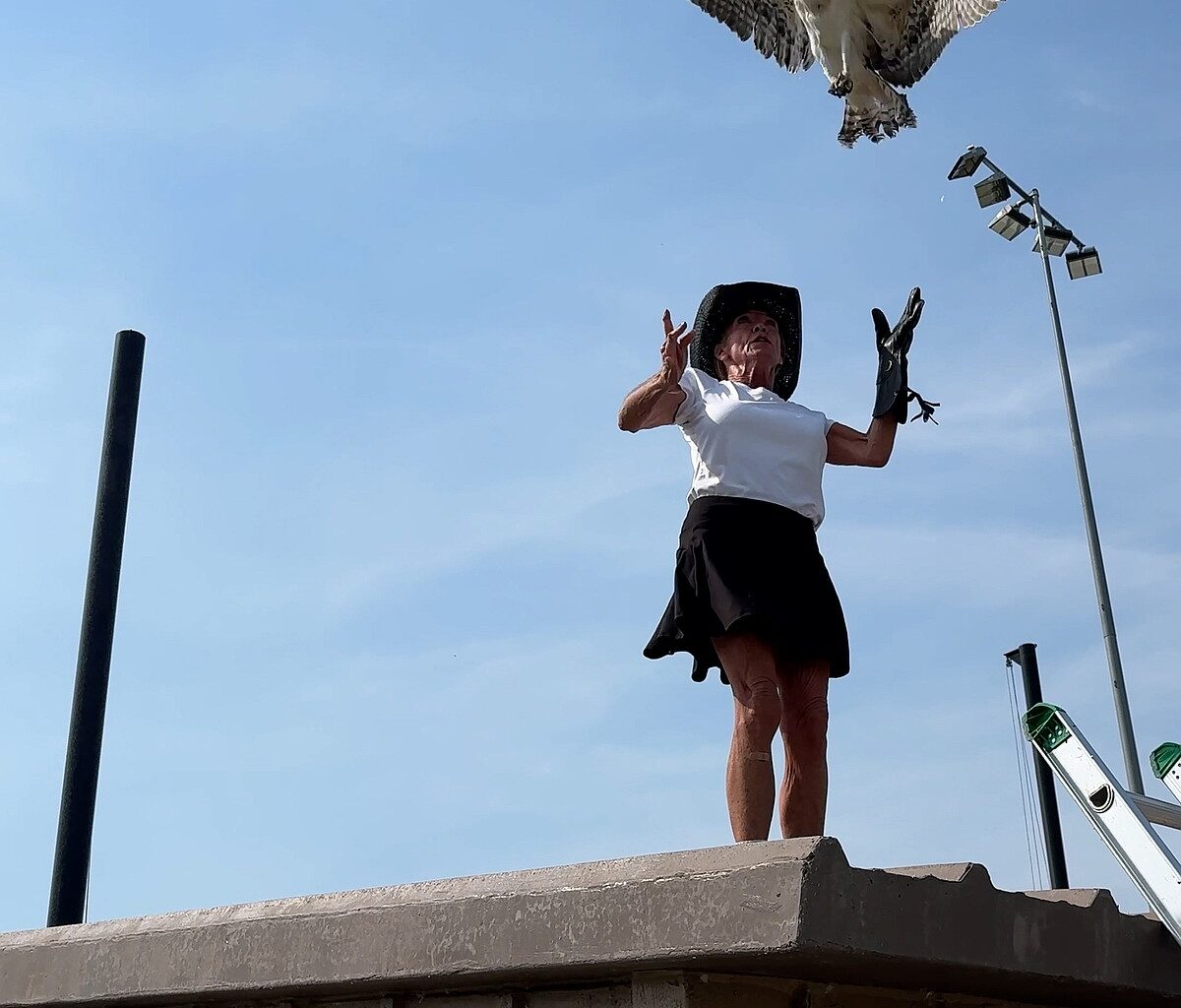 Phoenix is flying again | Coeur d'Alene Press