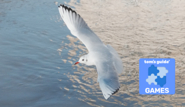 To celebrate World Photography Day, I turned my favorite nature photo into a virtual jigsaw puzzle you can solve now