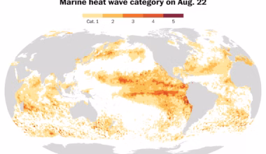 The ocean just broke a temperature record that may have stood for millennia