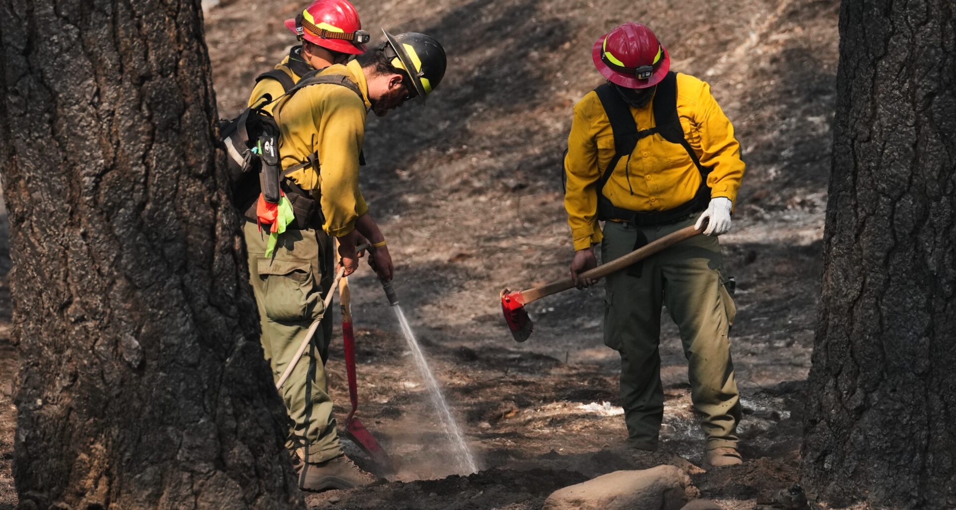 Officials warn wildland firefighters about the risks of using a supplement for smoke exposure – WTOP News