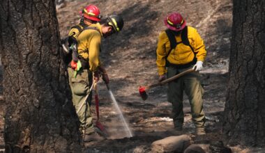 Officials warn wildland firefighters about the risks of using a supplement for smoke exposure – WTOP News