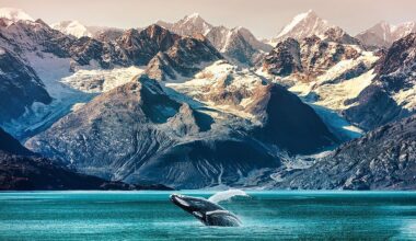 What Happens To A Whale When It Dies