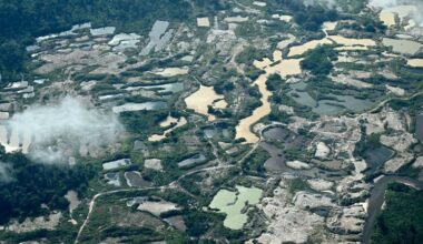 Without the Amazon’s ‘flying rivers’ South America would be at risk