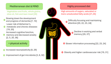 Diet, Microbiota and Memory: How What We Eat Affects Memory and Cognitive Processes and Whether Diet Can Help Prevent the Onset of Dementia - Cureus