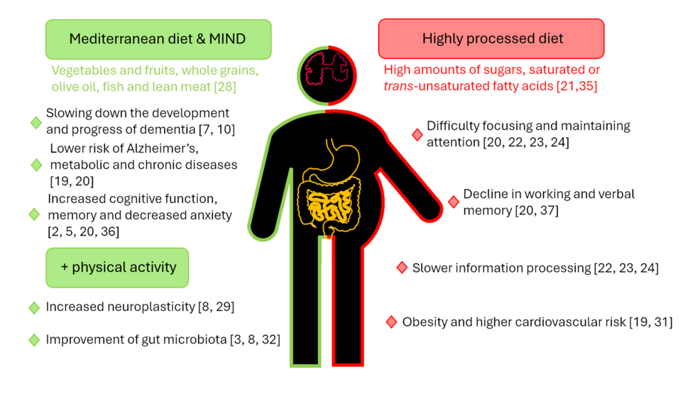 Diet, Microbiota and Memory: How What We Eat Affects Memory and Cognitive Processes and Whether Diet Can Help Prevent the Onset of Dementia - Cureus