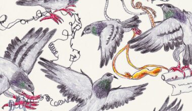 'I just love dogs': Gaia Alari on her wobbly, tactile drawings of animals, bodies and emotions