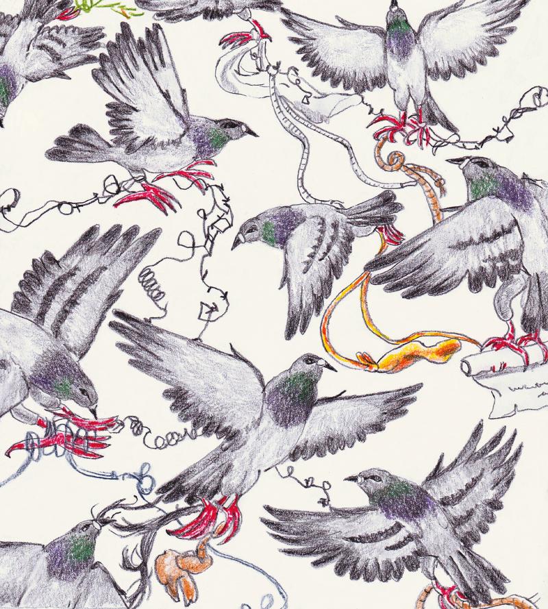 'I just love dogs': Gaia Alari on her wobbly, tactile drawings of animals, bodies and emotions
