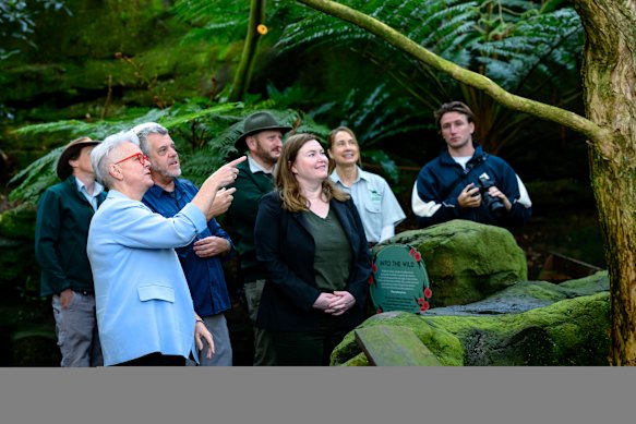 Environment Minister Penny Sharpe (second from left) and Agriculture Minister Tara Moriarty (centre) in the aviary at Taronga Zoo.