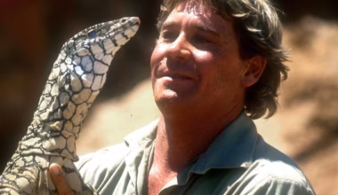 ‘He’s still there’: How the Irwin family honours Steve’s memory 20 years on - The Courier Mail