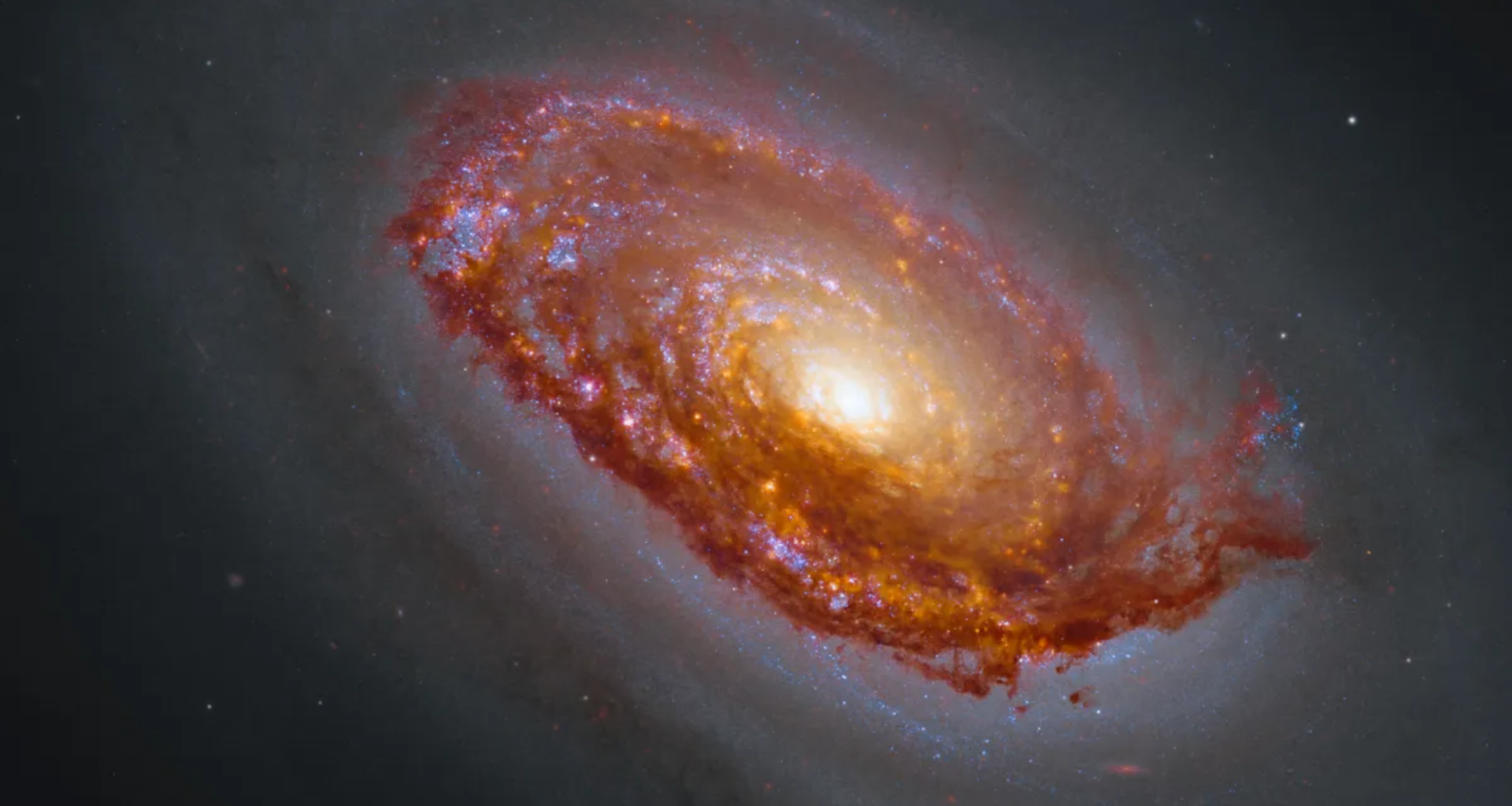 Hubble, James Webb Space Telescope team up to capture the 'Black Eye Galaxy' photo of the day for Aug. 18, 2026