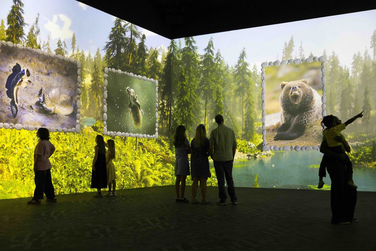 Frameless Nikon Comedy Wildlife Awards