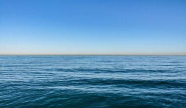 View of the ocean from California