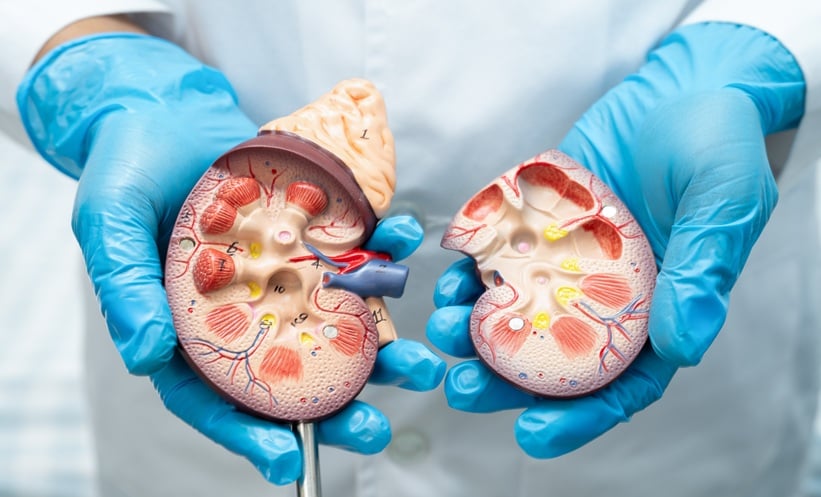 CKD Screening in Heart Disease: ESC 2026 – EMJ