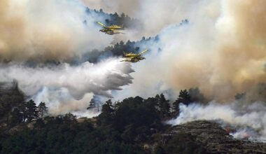 Why Spain needs to invest heavily in preventing fires, not just in fighting them