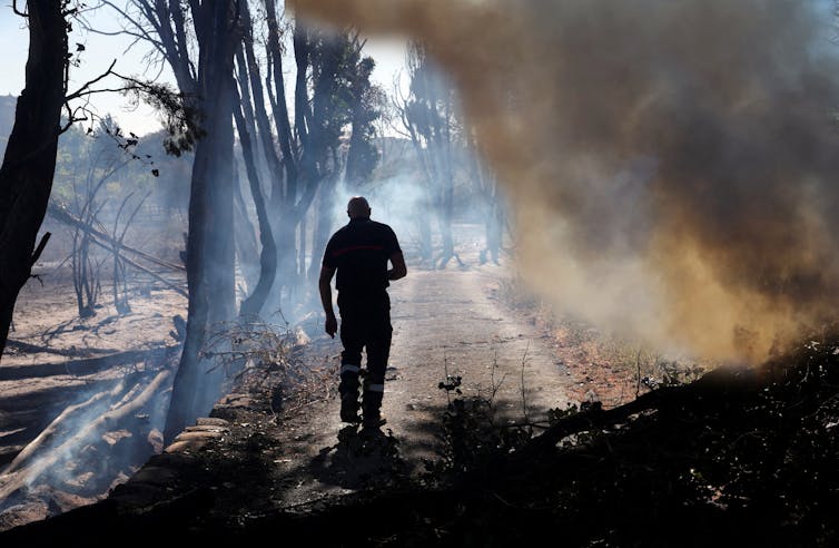 silhouette of firefighter in smoky burning forest