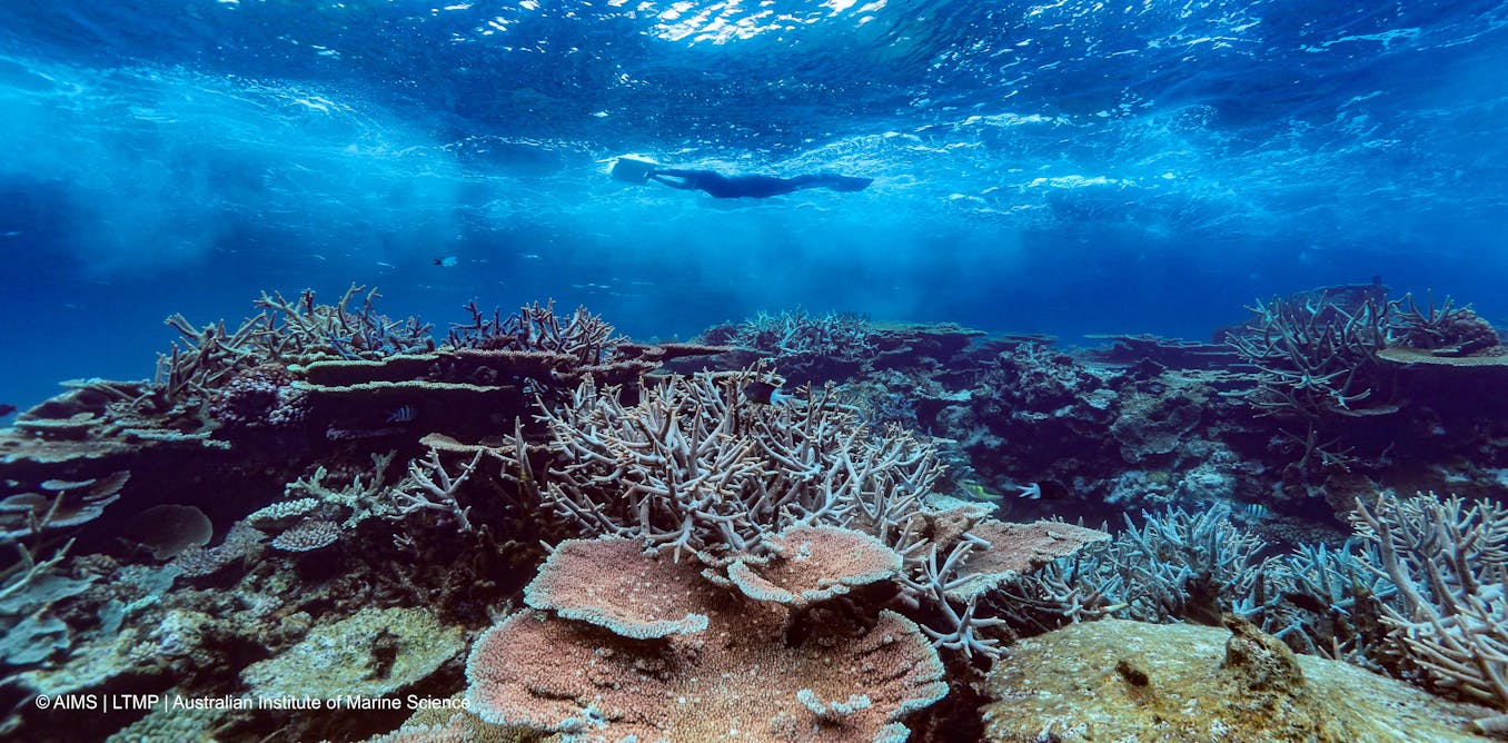 Reef relief: how a late summer monsoon helped cool the Great Barrier Reef at just the right time