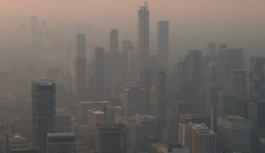 Vulnerability to wildfire smoke is in our genes, thanks to an evolutionary quirk