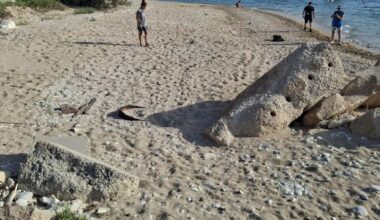 ‘Very unusual’: Malta records no loggerhead turtle nests despite 11 nesting attempts