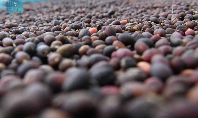 Why big coffee is betting billions on sustainability