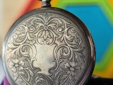 Close-up samples, 4x, 25MP - 96mm, f/2.6, ISO 125, 1/100s (5760x4320px) - Huawei Pura 90s Pro Max review