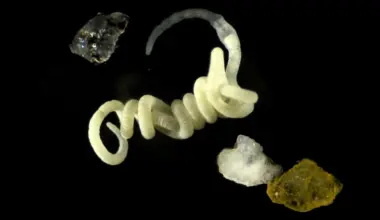 Animals have been eating nature’s original bioplastic for millions of years