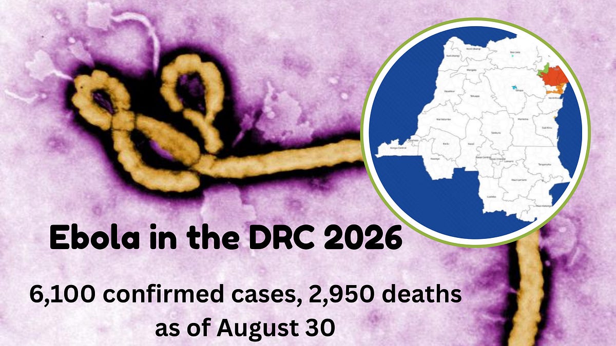 Ebola in DRC: More than 6,000 confirmed cases in 3 1/2 months