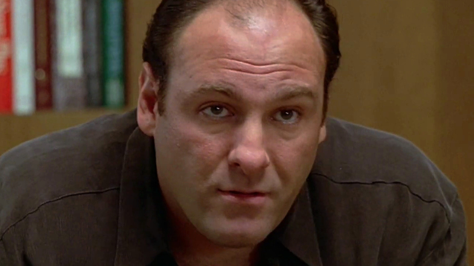 The Sopranos: How Every Main Character Dies In The Series