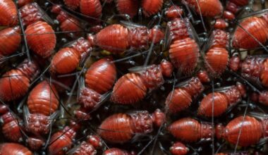 There are an estimated 10 quintillion individual insects alive on Earth at any given moment, according to the Smithsonian Institution — roughly 1.2 billion insects for every person alive today.