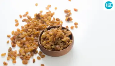 Celebrity dietitian on the morning raisin-water ritual: Does it really offer health benefits or is it just hype?