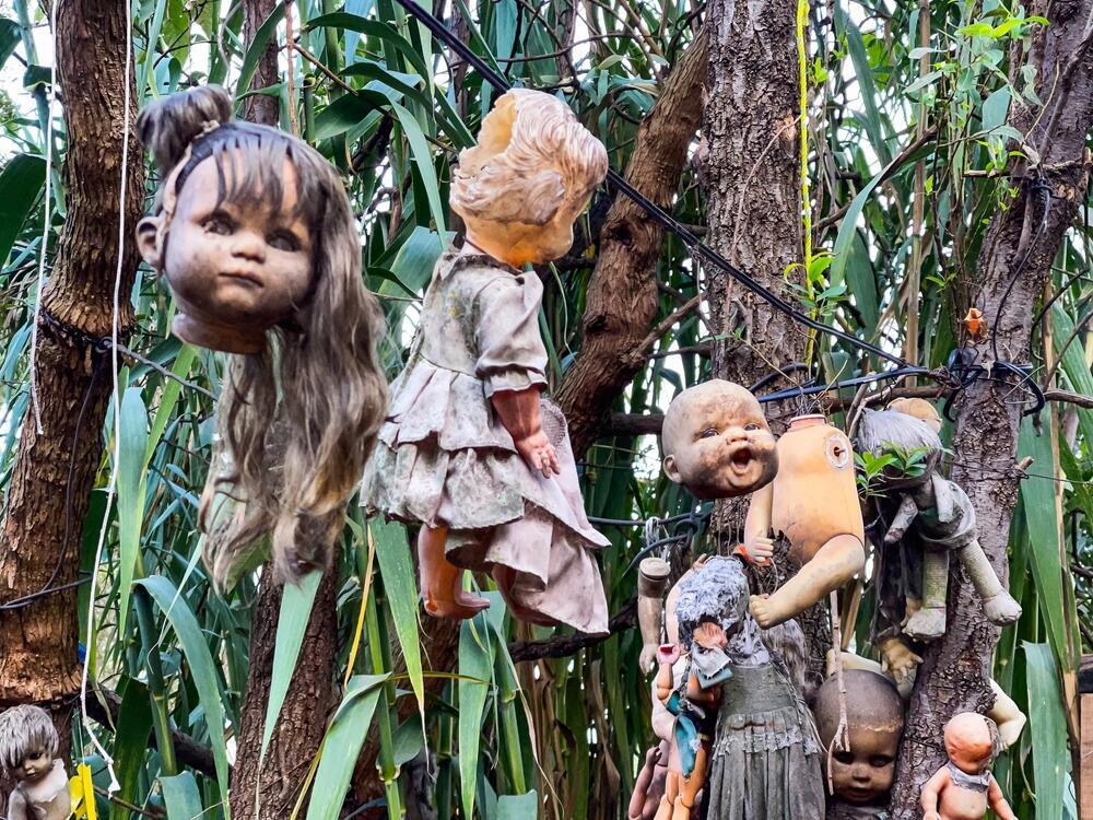 בובה באי הבובות (Island of the Dolls), האתר המזוהה עם סיפורו של דון חוליאן סנטנה בררה (Don Julián Santana Barrera), סמוך למקסיקו סיטי, מקסיקו