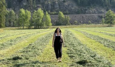 Startup Spotlight: Tech consultant returns to the farm with Reroot, connecting growers with consumers – GeekWire