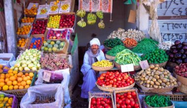 Egypt’s annual urban inflation accelerates to 14.9% in July from 14.3% in June