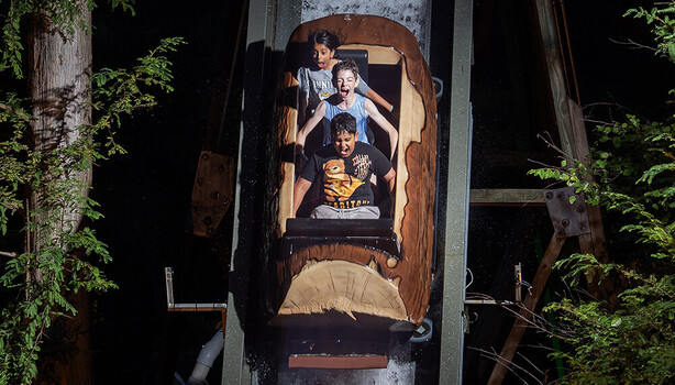 Photographing Theme Park Rides in the Dark