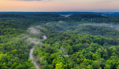 The trees of the Amazon pump such staggering amounts of moisture into the air that they create invisible rivers in the sky, and those rivers travel thousands of kilometres to water farmland in countries far from the forest itself